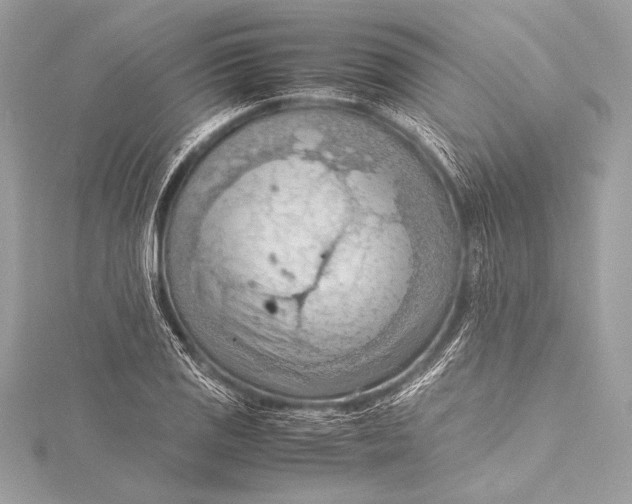 X0000115801125200912041528