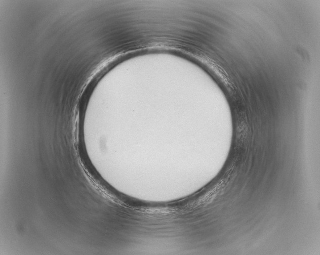 X0000115801126200912041528