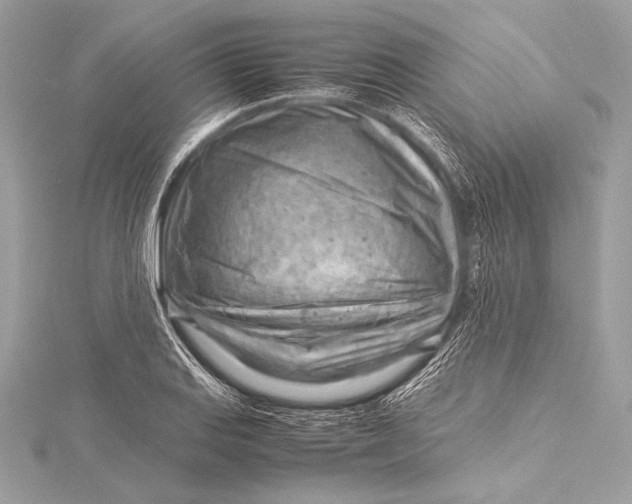 X0000115801127200912041528