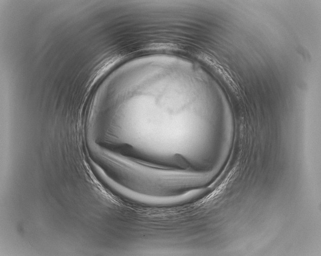 X0000115801129200912041528