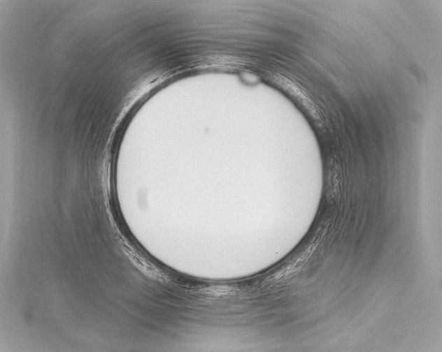 X0000115801130200912041528