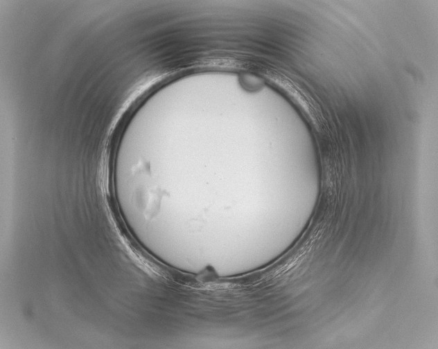 X0000115801131200912041528