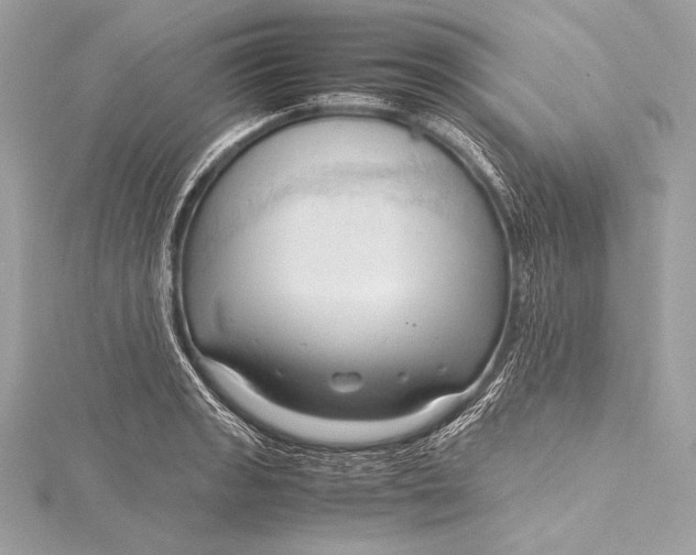 X0000115801133200912041528