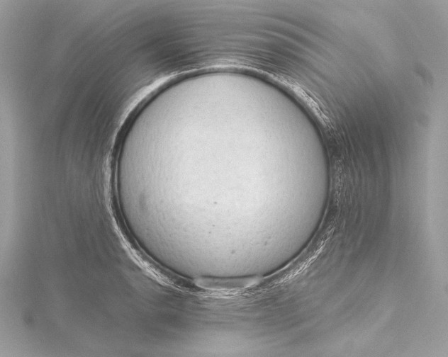 X0000115801134200912041528