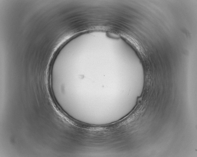 X0000115801135200912041528