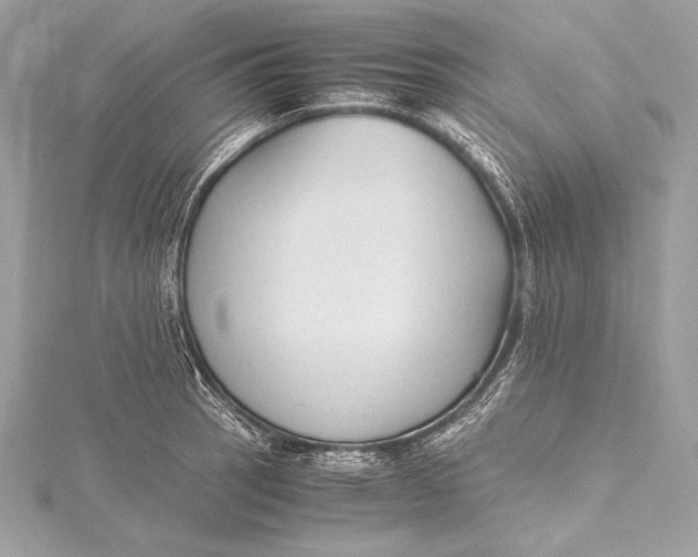 X0000115801137200912041528