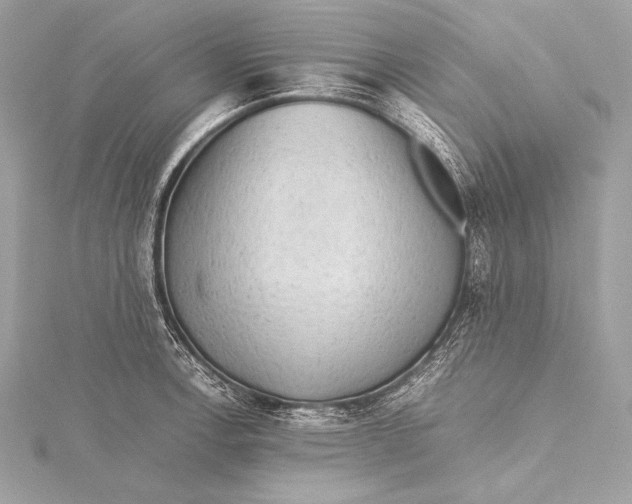 X0000115801138200912041528