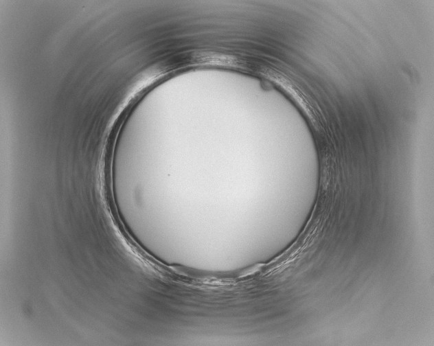 X0000115801139200912041528