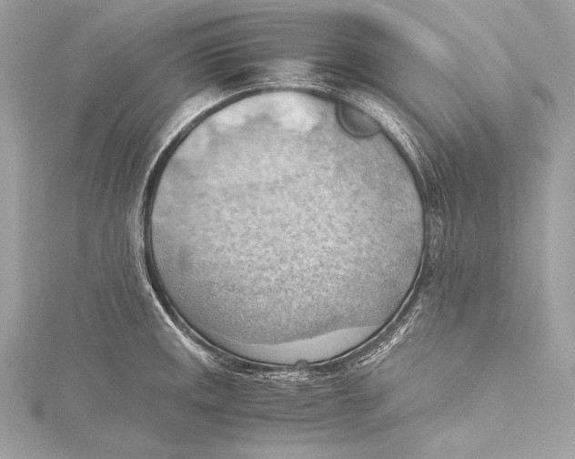 X0000115801141200912041528