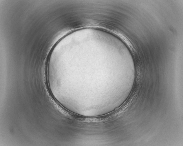 X0000115801142200912041528