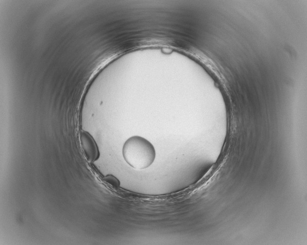 X0000115801145200912041528