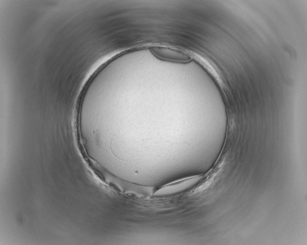 X0000115801149200912041528