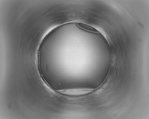 X0000115801151200912041528