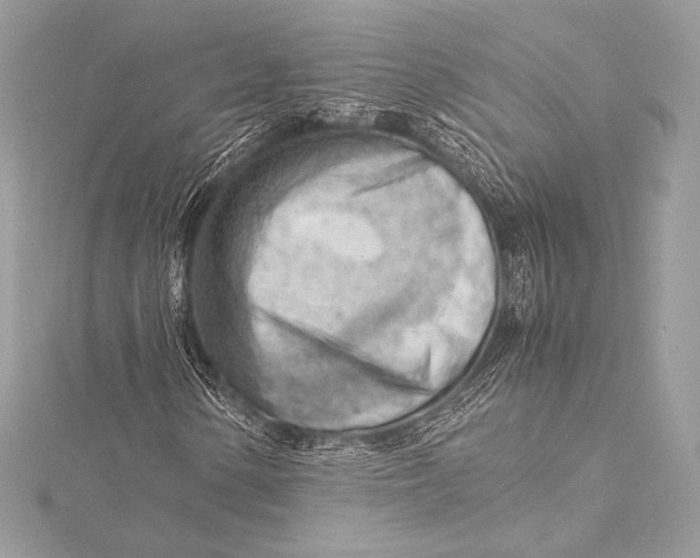 X0000115801154200912041528