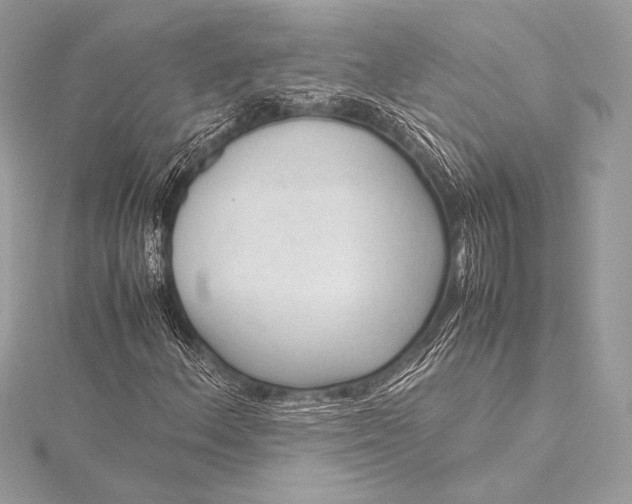 X0000115801156200912041528