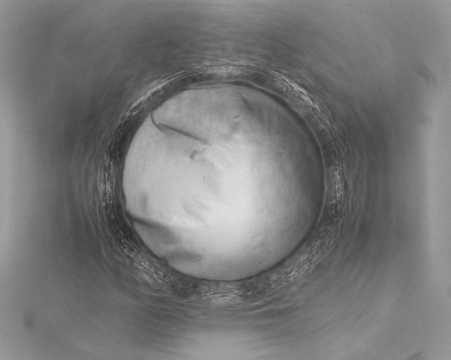 X0000115801158200912041528