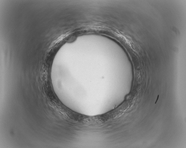 X0000115801159200912041528