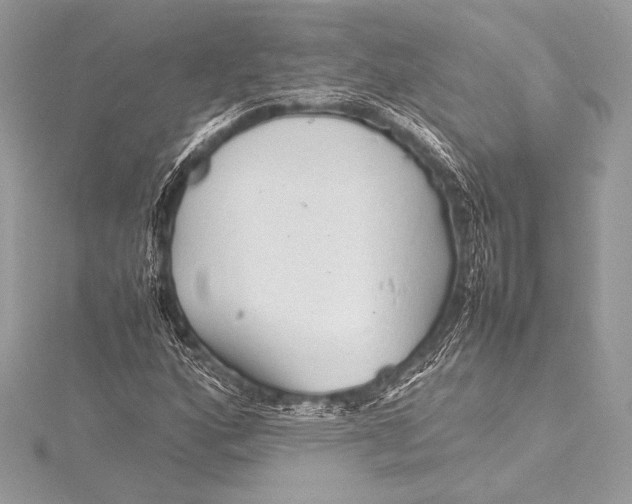 X0000115801160200912041528