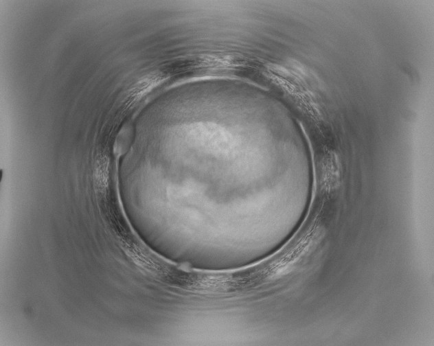 X0000115801161200912041528