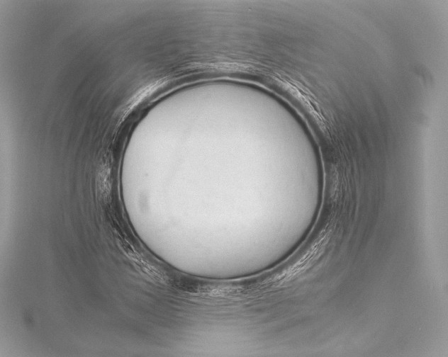 X0000115801163200912041528