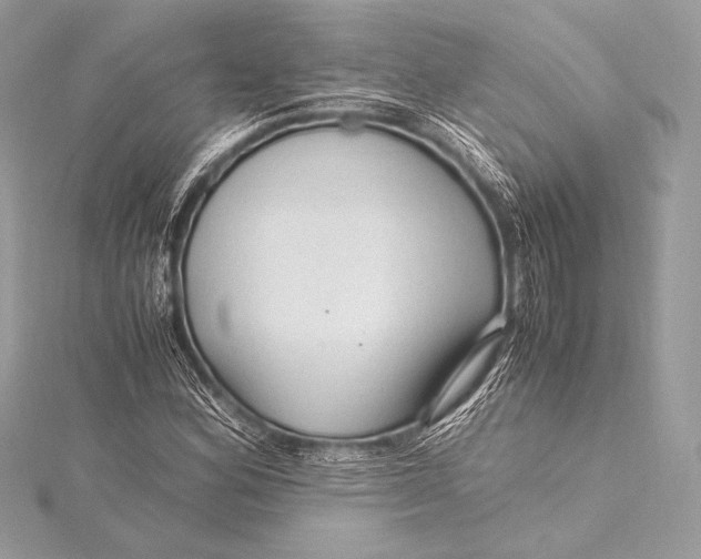 X0000115801164200912041527