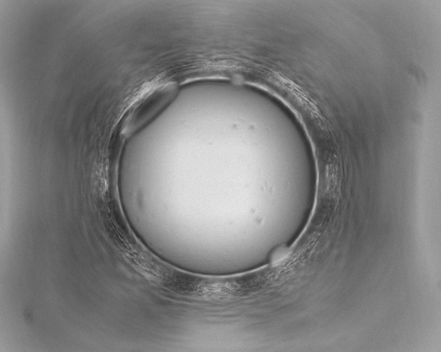 X0000115801165200912041527