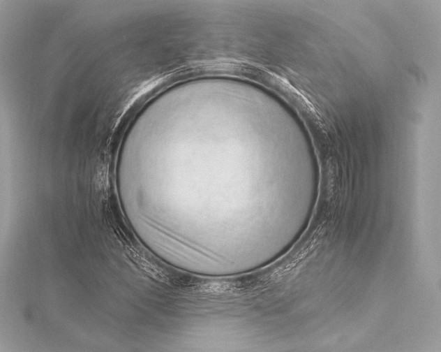 X0000115801166200912041527