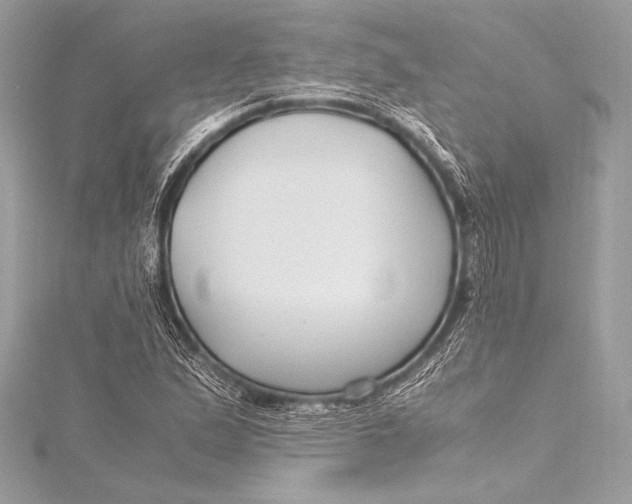 X0000115801167200912041527