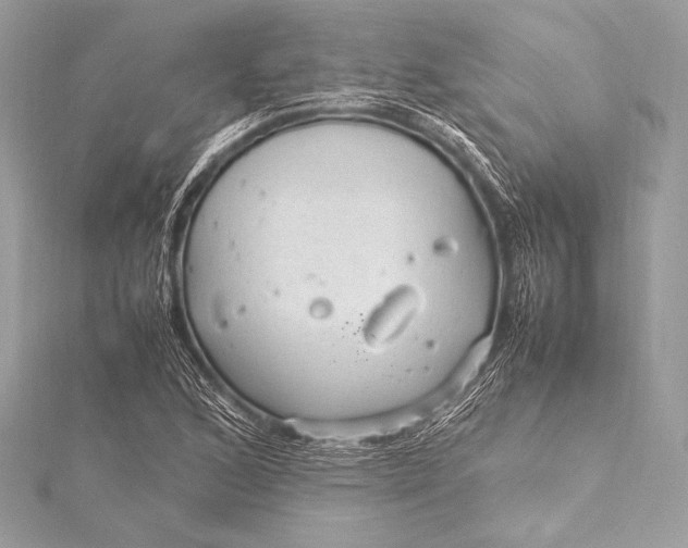 X0000115801168200912041527