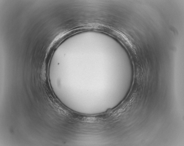 X0000115801172200912041527