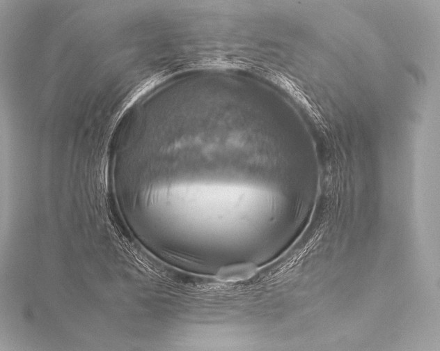 X0000115801173200912041527