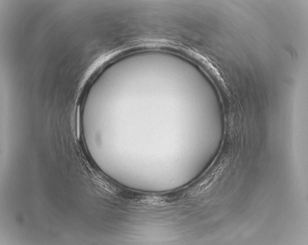 X0000115801175200912041527