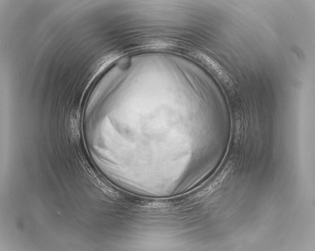 X0000115801178200912041527