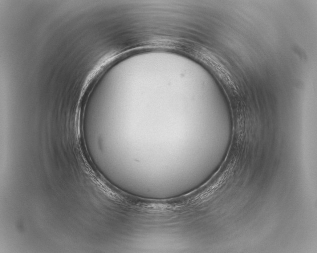 X0000115801180200912041527