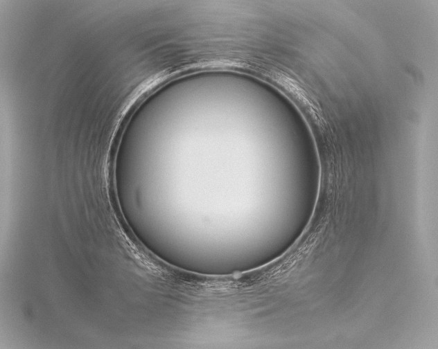 X0000115801181200912041527