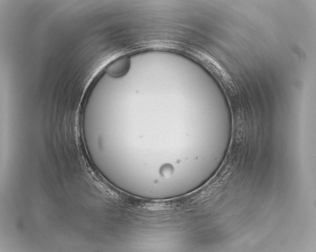 X0000115801182200912041527