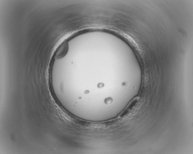 X0000115801183200912041527