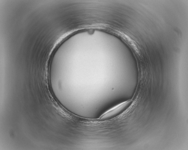 X0000115801184200912041527