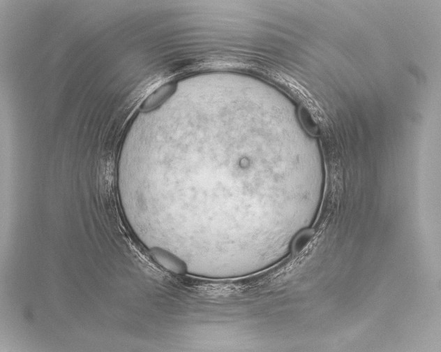 X0000115801185200912041527