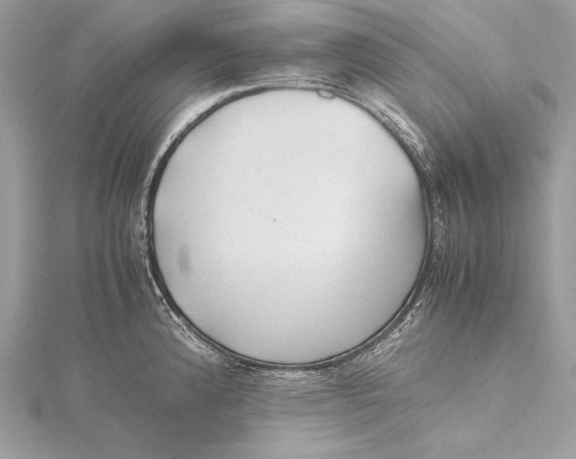 X0000115801192200912041527