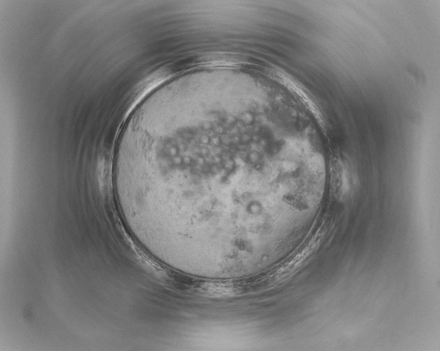 X0000115801194200912041527