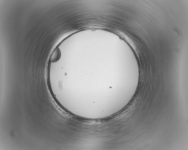 X0000115801195200912041527