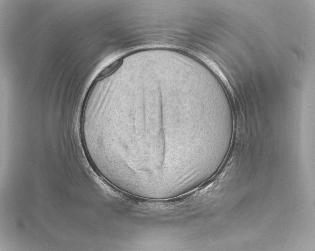 X0000115801197200912041527