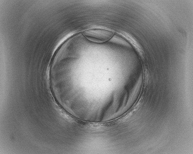 X0000115801198200912041527