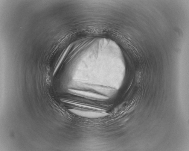 X0000115801202200912041526