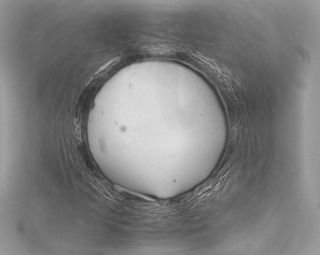 X0000115801205200912041526