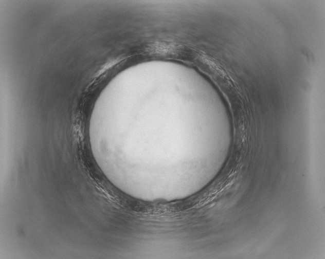 X0000115801206200912041526