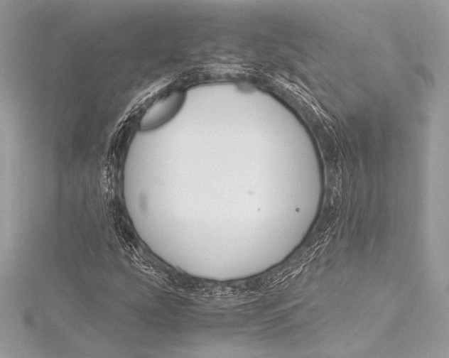 X0000115801207200912041526