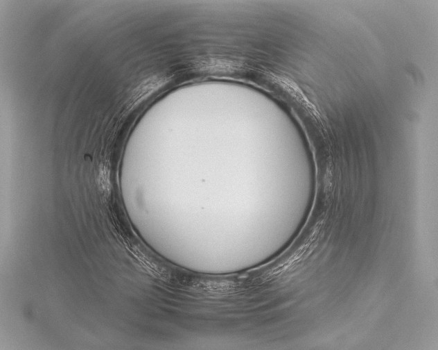 X0000115801209200912041526