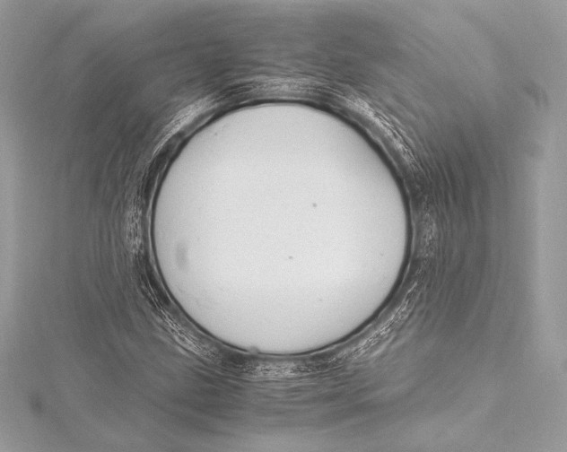 X0000115801211200912041526